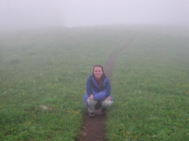 In the alpine meadow