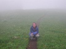 In the alpine meadow
